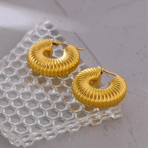 Round Chunky Hoop Earrings - Picture 3 of 8